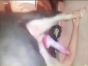 Woman and Dog: A Forbidden Meeting