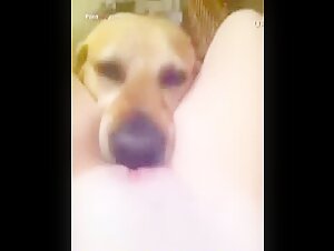Woman and Dog: A Passionate Encounter