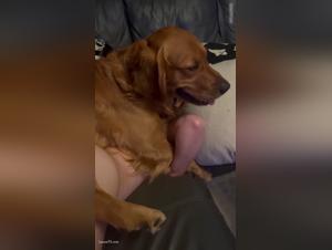 Doggy Hot Surprise - Burning Session