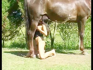 Gisele and the horse
