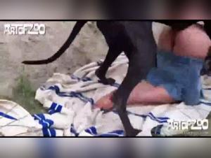 XL Mastiff and Burning Mouths: Sophie Lets Her Canine Stud Have His Way