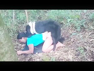 Aventura en el bosque