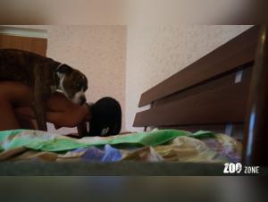 Canine Delight: An Englishwoman  rips into her trusty companion