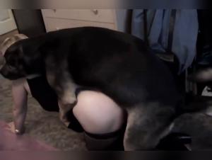 Delicias Prohibidas: La Obsesion Bestial