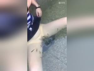 Sensacion bestial: mujeres y perros demoniacos