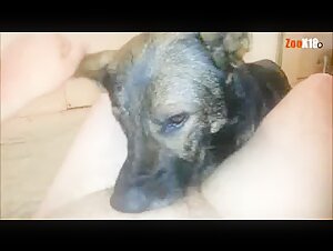 Cane sottoposto a dominazione estrema