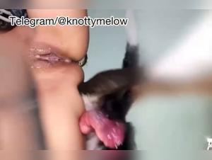 Rara rare gets ravaged by a four-legged stud