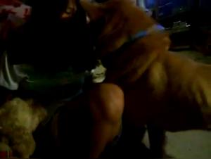 Screwed female dog: Wild animal blowjob