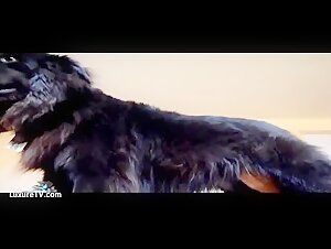 Femme rousse à forte poitrine s'amuse avec votre chien