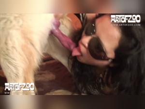 Mexico City, Vanessa's Doggy Desire Unleashed