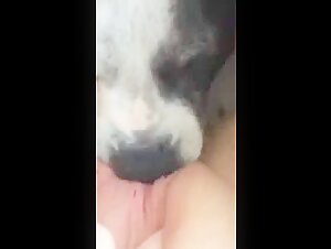 Morning lick?