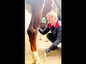 Horse Cock - Vidéo Bestialité