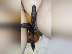 Bestial Delights: The Cry of Human Flesh under Canine Dominance