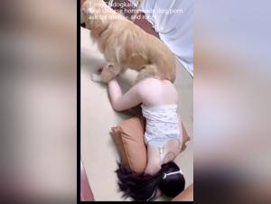 Zoophilie Chinoise : Première Baise avec Chien