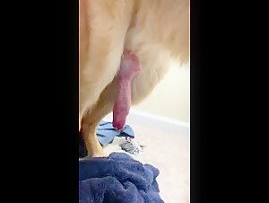 Esto es grande: Un encuentro bestial e intenso
