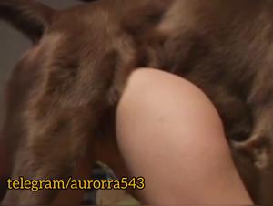 Wild zoophilia: the dog takes control