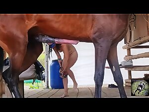 Femme et Cheval: Une Rencontre Interdite