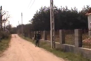 Brutal Zoophilia: Dog Bangs a Slut