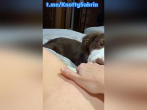 Animal antics: hot canine kisses