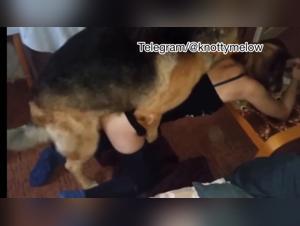 Bitch Trainer Reloaded: Mad Dog Devours the Bitch