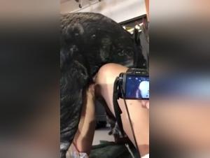 Bestial desire: Fantasies taken to the extreme