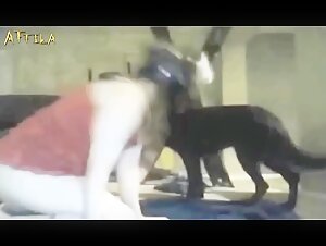 Femme masquée et son chien dans une webcam amateur