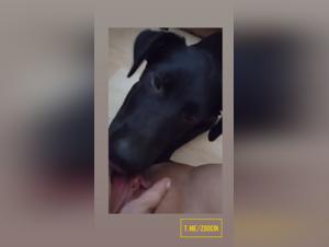 Insatiable Licking: Dog Devours a Woman's Urge