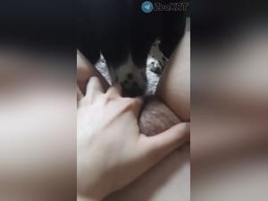 Orgies de animales: mierda salvaje y dominacion canina