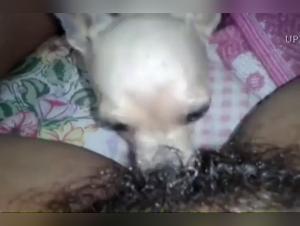 Wild zoophilia: Irresistible instincts unleashed