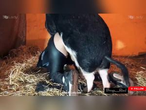 Wild Connection: Selena and the Bestial Cow Fuck