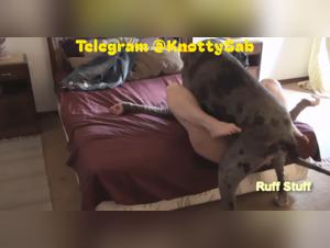 Brute Fuck: Dog Devours the Bitch Without Mercy