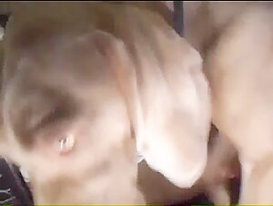 Momento intimo con un cane