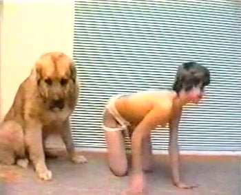 Milly, fucked by a loaded dog