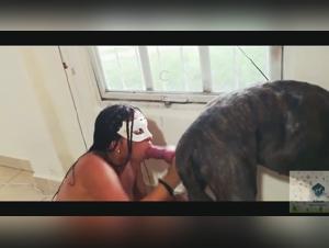 The limits of desire: bestiality at the heart of porn