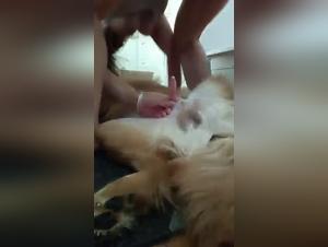 girl sex dog: hardcore beast