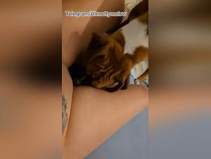 Canine Frenzy: Huge Pussy in Full Eruption, Dog Unleashed