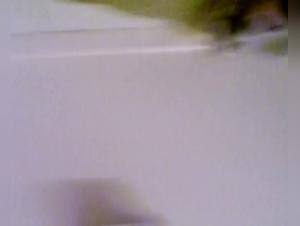 Desiderio animale: Milly sottomessa al cane