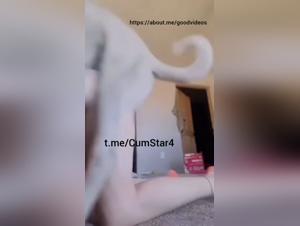 Obsesion bestial: adolescentes y perros en el caos sexual