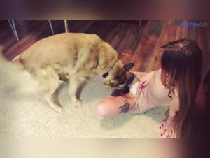 TAKE IT OFF (PMV): Go beyond limits, explore canine passion