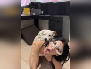 Torrid night, animality unleashed: Dog devours a woman