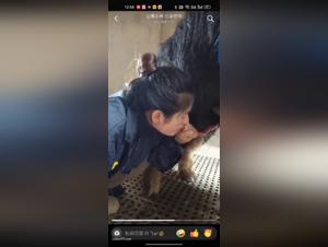 bestiality extrême : china sperma fièvre