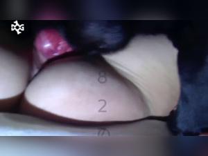 Zoofilia hardcore: delizie salaci con il cane