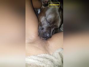 Zoophilia without limits: Lick and Fuck with a Crazy Dog