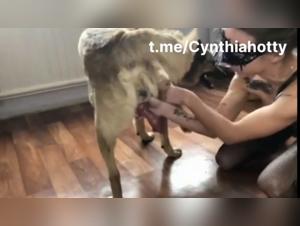 Extreme Canine Suction