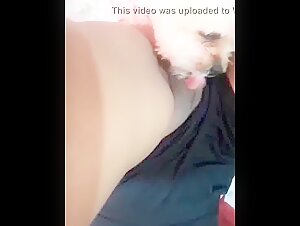 An unexpected encounter with a dog