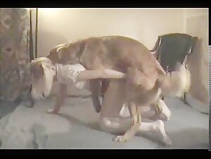 Zoosex: An Extreme Experience
