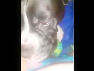 Woman and dog: a forbidden meeting