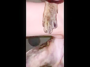 Frau und ihr Hund: eine Geschichte der Bestialitat