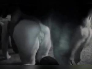 Zoofilia Hardcore: Deseos Bestiales Realizados