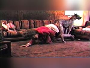 Adilia's Weekend: Broken Taboos, Animal Pleasure